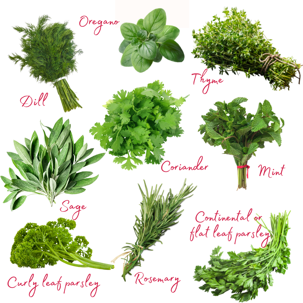 herbs2