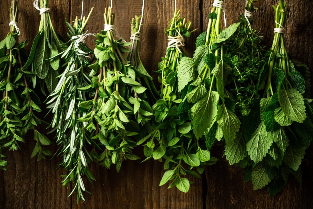 herbs3